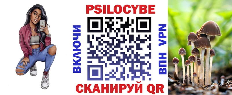 Купить где  Будённовск  Галлюциногенные грибы Cubensis 